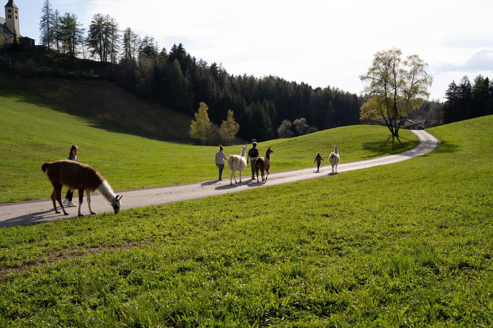 Schupferhof Apartman Petersberg Kültér fotó